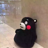 子衿_筑梦踏实