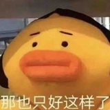 那也只好这样了