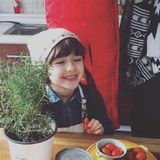 Alina
