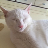 开心美男