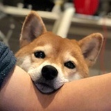 Gon