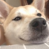 北淮