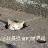 请输入新昵称