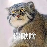 尔尔彧酒酒