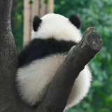 土豆还不错
