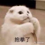 一只抱拳的猫