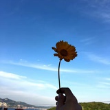 物谢岁微