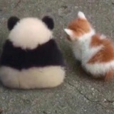 大脑斧