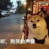 明天更美好