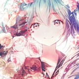 昭昭