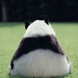 dsfewfs