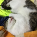 Miss.璐璐