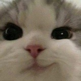 滕惟高