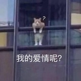 煎饼分你一半