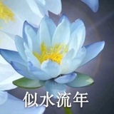 哩哩哩十元虾虾