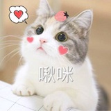此号仅作记录