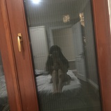 阿燃