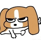 cici_