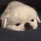 美女我当累了