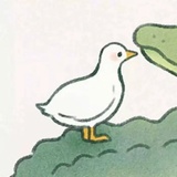 一一风荷