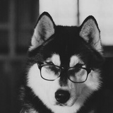 名字最多这么长