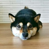 奇奇you怪怪