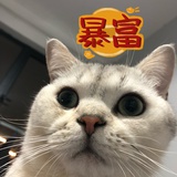 家有二毛