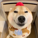 樱桃不叫车厘子