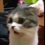 kkk455
