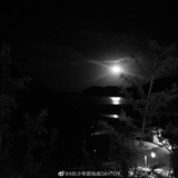 风为你而来