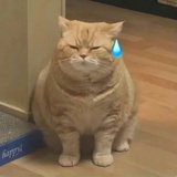 可爱🍡