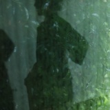 玉子非鱼