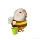 你算哪块小饼干