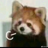 豆友147573635