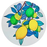 陌陌青泞