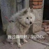 图书江湖骗子