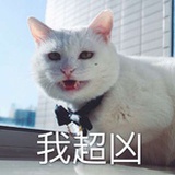 莉兹君