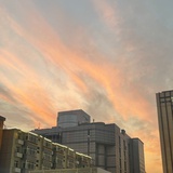 遇见