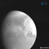 懒得理你