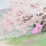 壶夙