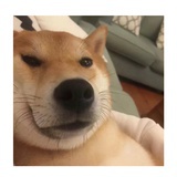 domingo