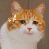 销魂城市长