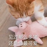 陈宸