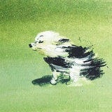 落日橙.