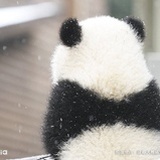 送个梦境给我