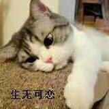 小仙儿