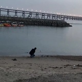 甚是无聊