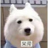 凭意