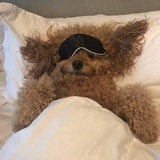 Zzzz