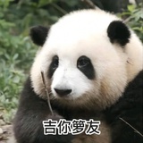 好运快来
